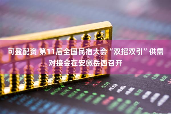 可盈配资 第11届全国民宿大会“双招双引”供需对接会在安徽岳西召开