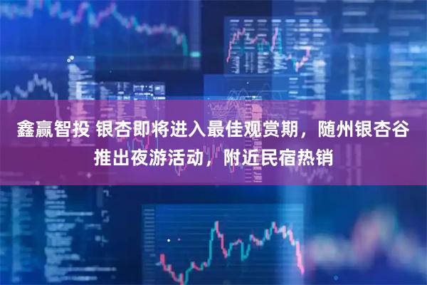 鑫赢智投 银杏即将进入最佳观赏期，随州银杏谷推出夜游活动，附近民宿热销
