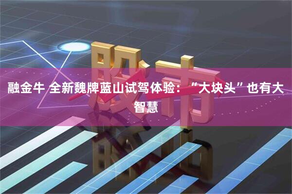 融金牛 全新魏牌蓝山试驾体验：“大块头”也有大智慧