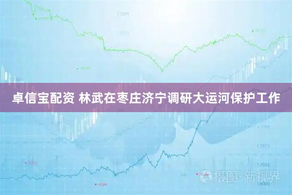卓信宝配资 林武在枣庄济宁调研大运河保护工作