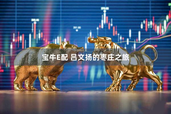 宝牛E配 吕文扬的枣庄之旅