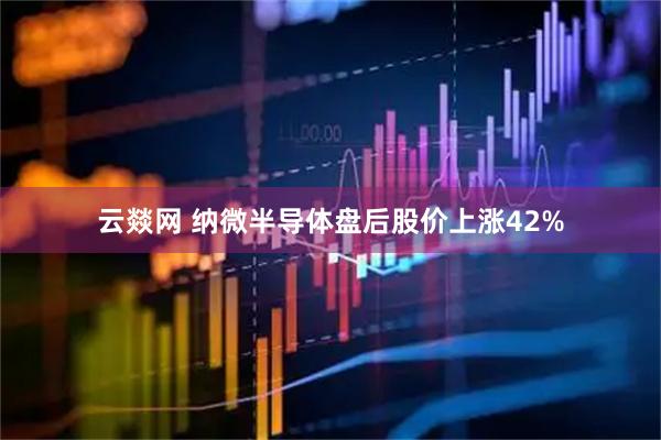 云燚网 纳微半导体盘后股价上涨42%