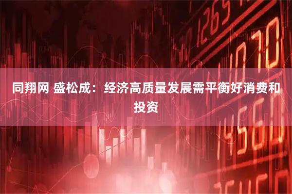 同翔网 盛松成：经济高质量发展需平衡好消费和投资