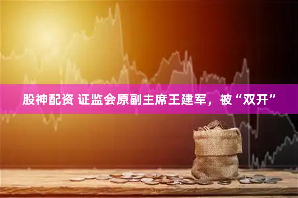 股神配资 证监会原副主席王建军，被“双开”
