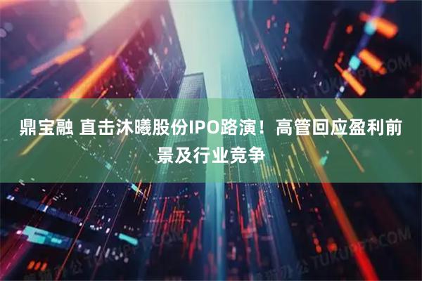 鼎宝融 直击沐曦股份IPO路演！高管回应盈利前景及行业竞争