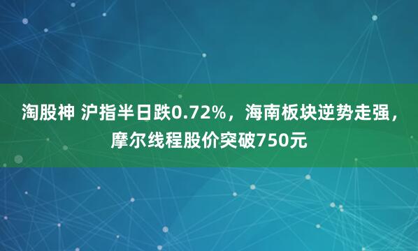 淘股神 沪指半日跌0.72%，海南板块逆势走强，摩尔线程股价突破750元