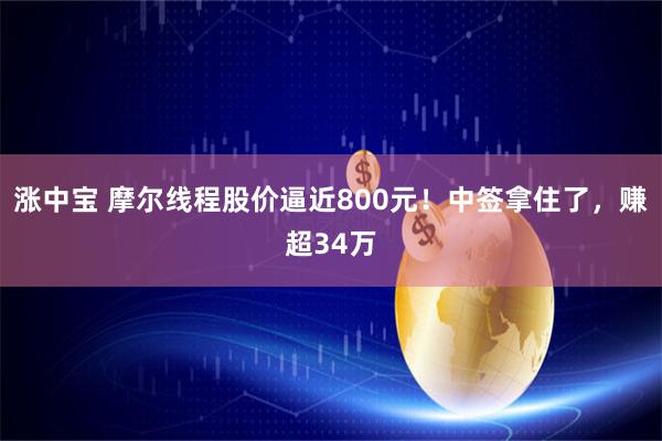 涨中宝 摩尔线程股价逼近800元！中签拿住了，赚超34万