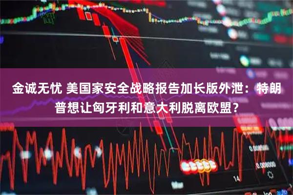 金诚无忧 美国家安全战略报告加长版外泄：特朗普想让匈牙利和意大利脱离欧盟？