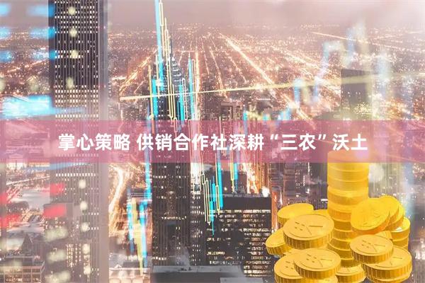 掌心策略 供销合作社深耕“三农”沃土