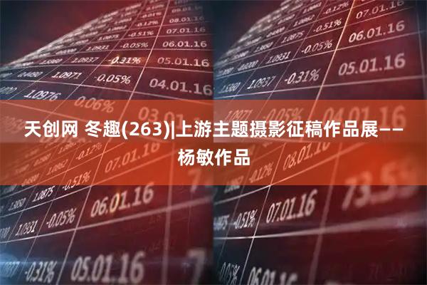 天创网 冬趣(263)|上游主题摄影征稿作品展——杨敏作品