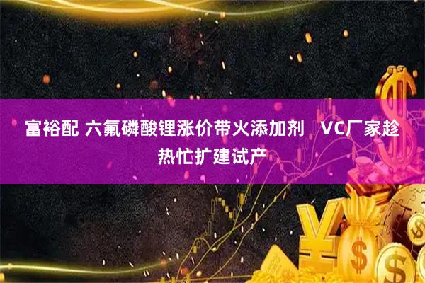 富裕配 六氟磷酸锂涨价带火添加剂   VC厂家趁热忙扩建试产