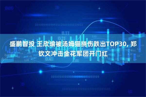 盛鹏智投 王欣瑜被汤姆猫挠伤跌出TOP30, 郑钦文冲击金花军团开门红